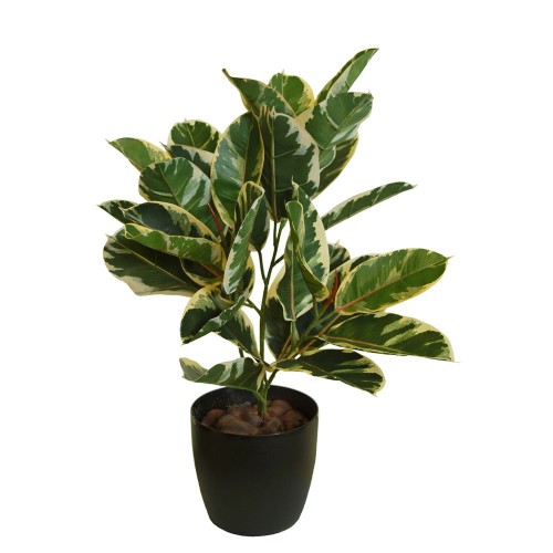 Planta semi-artificiala Ila, Ficus Elastica Plant Variegated - 70 cm